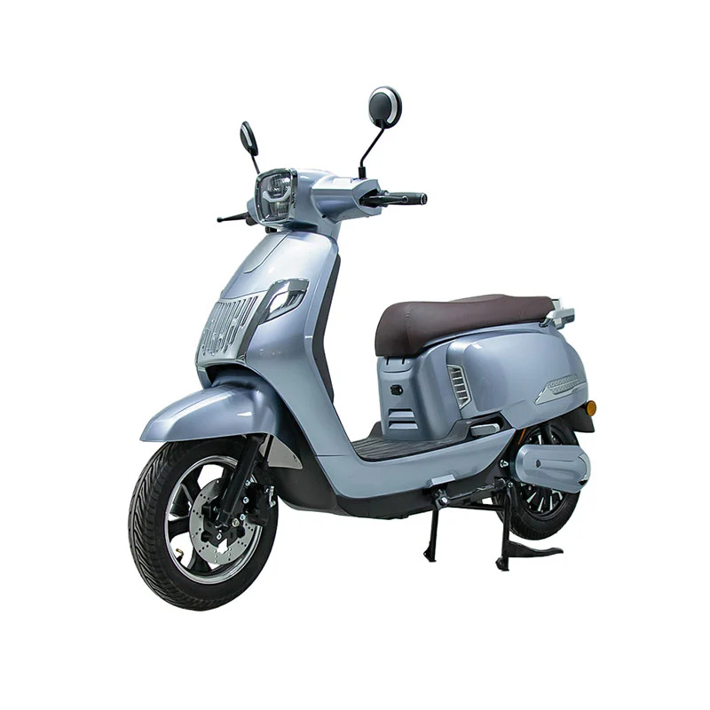 มอเตอร์ไซค์ไฟฟ้าสำหรับผู้ใหญ่ขนาด 10 นิ้ว 800W มอเตอร์ไซค์
